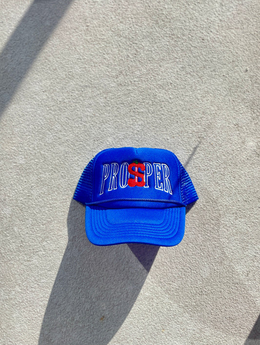 Championship Trucker Hat