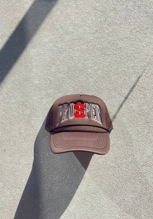 Championship Trucker Hat